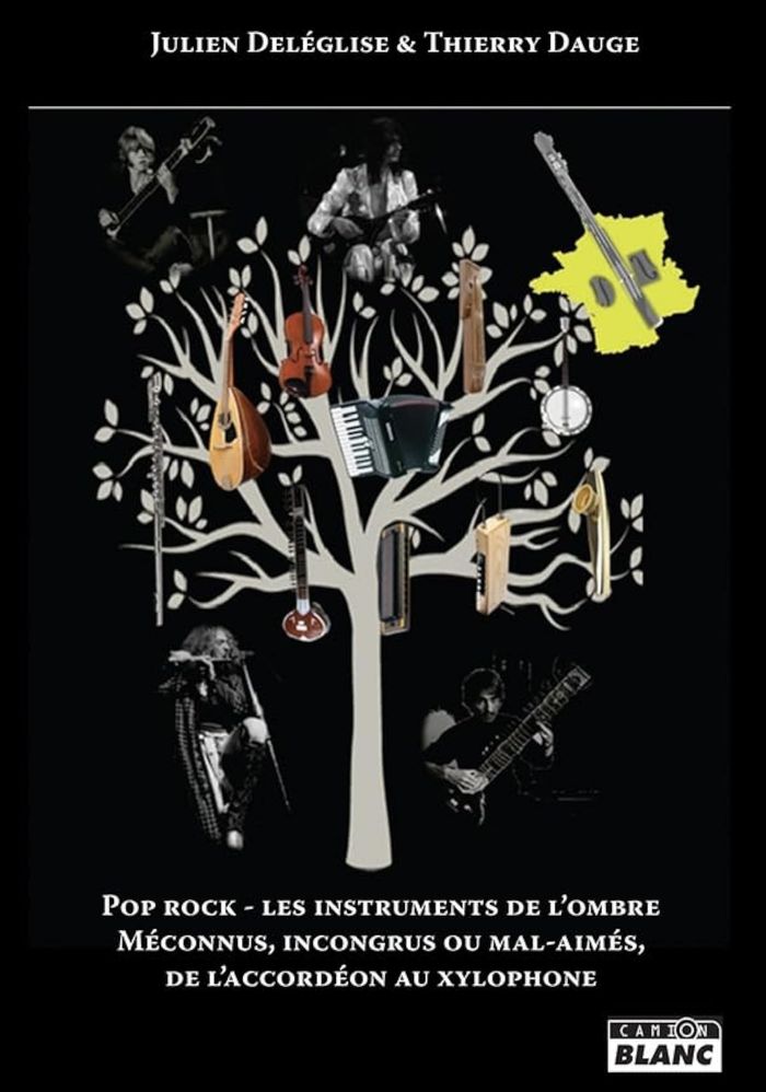 Couverture du livre « POP ROCK - LES INSTRUMENTS DE L'OMBRE - MECONNUS, INCONGRUS OU MAL-AIMES, DE L ACCORDEON AU XYLOPHON », librairie Les Contes Infusés à Corte