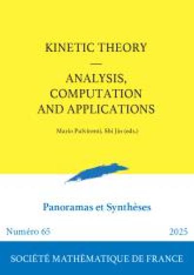 Couverture du livre « Analys, Computation and applications » de Mario Pulvirenti, librairie Les Contes Infusés à Corte