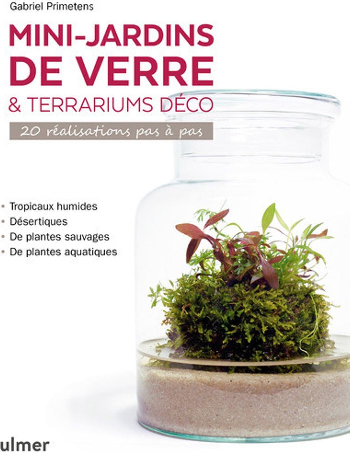 Couverture du livre « MINI-JARDINS DE VERRE & TERRARIUMS DECO - 20 REALISATIONS PAS A PAS » de Gabriel Primetens, librairie Les Contes Infusés à Corte