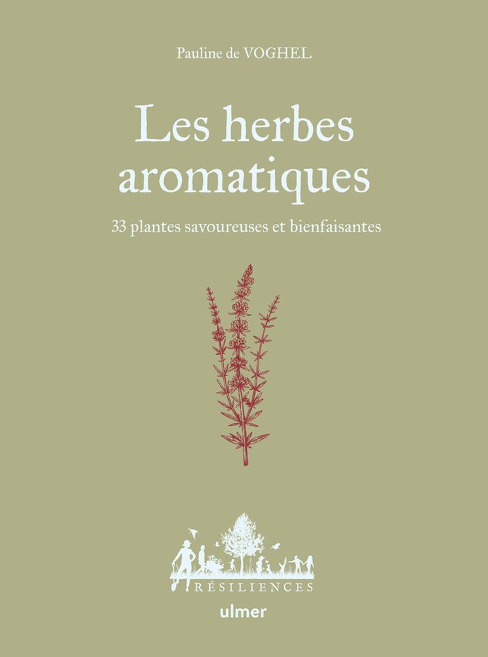 Couverture du livre « Les herbes aromatiques : 33 plantes savoureuses et bienfaisantes » de Pauline de Voghel, librairie Les Contes Infusés à Corte