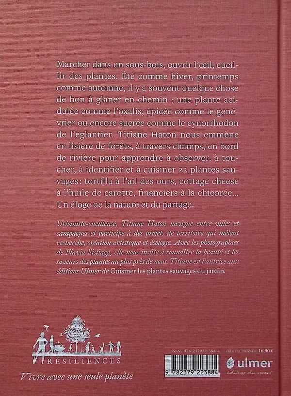 Quatrième de couverture de « Cuisiner les plantes sauvages des chemins »