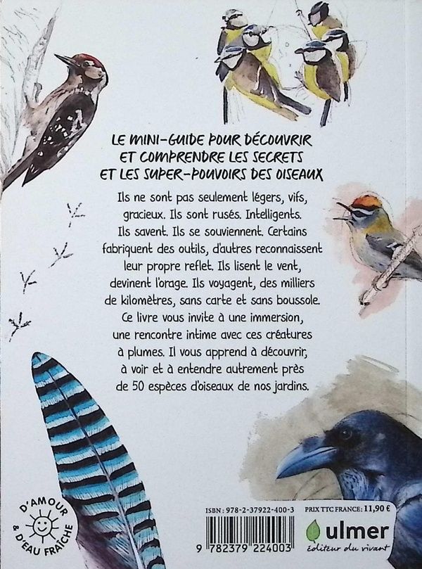 Quatrième de couverture de « Découvrir les oiseaux de nos jardins : secrets & super-pouvoirs »