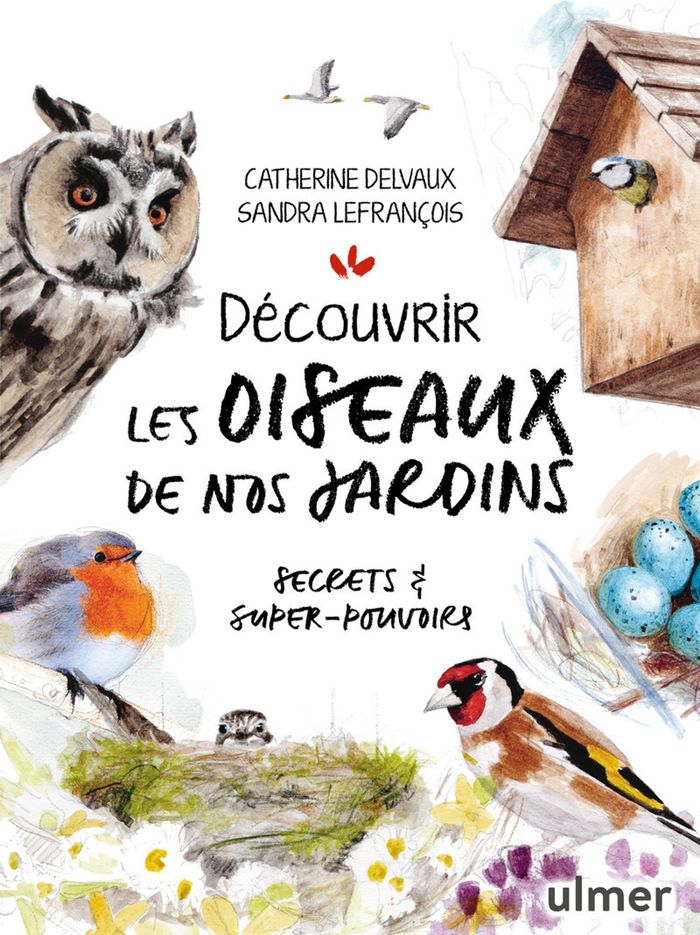 Couverture du livre « Découvrir les oiseaux de nos jardins : secrets & super-pouvoirs » de Catherine Delvaux, librairie Les Contes Infusés à Corte