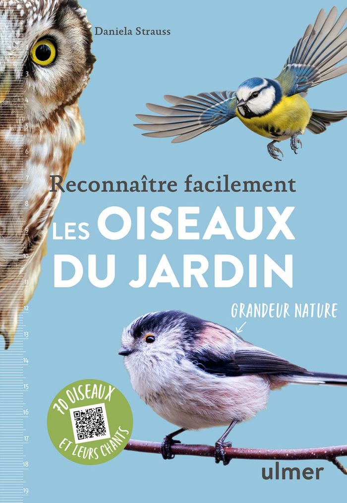 Couverture du livre « Reconnaître facilement les oiseaux du jardin » de Daniela Strauss, librairie Les Contes Infusés à Corte