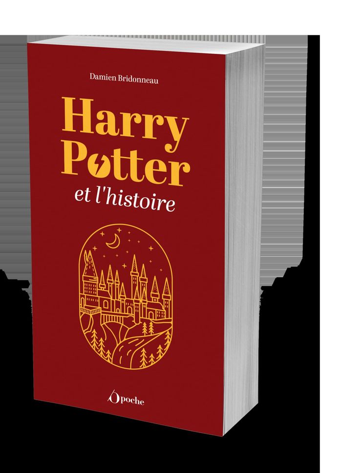 Couverture du livre « Harry Potter et l'histoire : alchimies historiques ! » de Damien Bridonneau, librairie Les Contes Infusés à Corte