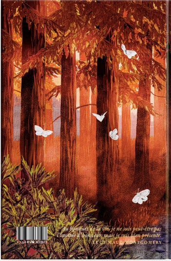Quatrième de couverture de « L'ASCENSION D'EMILY »