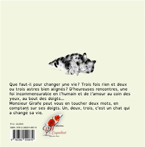 Quatrième de couverture de « MONSIEUR PADDY - ILLUSTRATIONS, COULEUR »