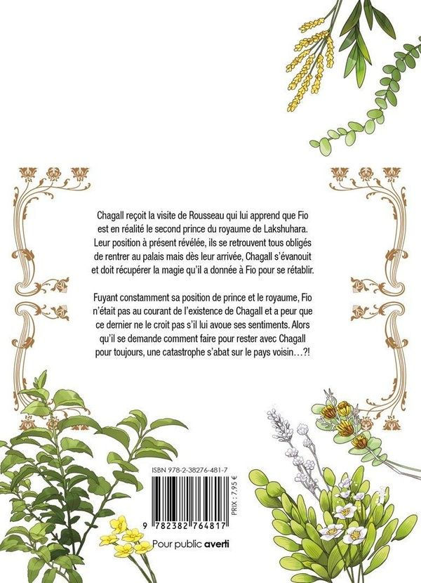 Quatrième de couverture de « THE MAGICIAN IN A SECRET FOREST - TOME 02 »