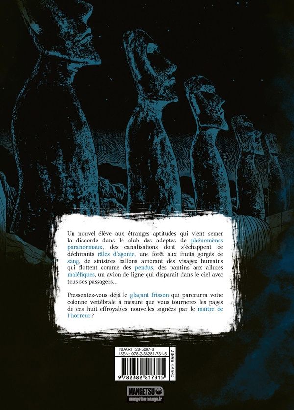 Quatrième de couverture de « Froid glacial »