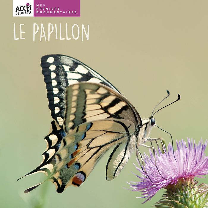Couverture du livre « LE PAPILLON » de Lea Schneider, librairie Les Contes Infusés à Corte