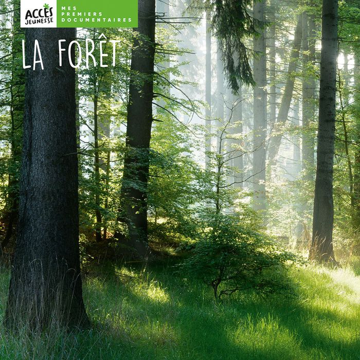 Couverture du livre « LA FORET » de Lea Schneider, librairie Les Contes Infusés à Corte