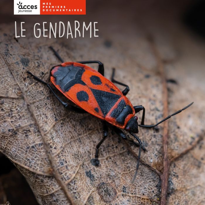 Couverture du livre « Le gendarme » de Jessica Mazelle, librairie Les Contes Infusés à Corte