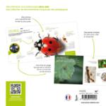 Quatrième de couverture de « La coccinelle »