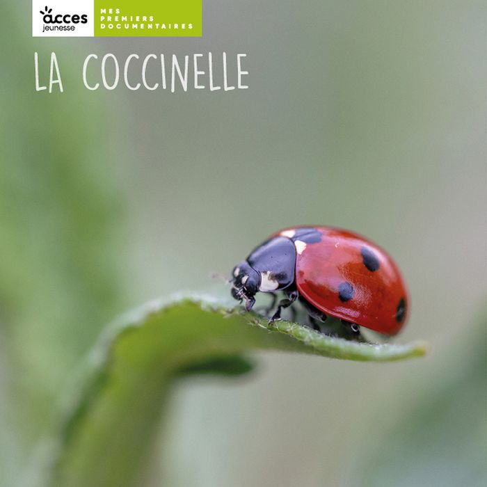 Couverture du livre « La coccinelle », librairie Les Contes Infusés à Corte