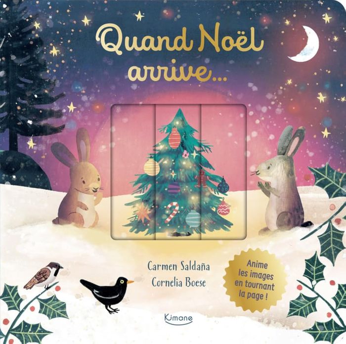 Couverture du livre « QUAND NOEL ARRIVE... - ANIME LES IMAGES EN TOURNANT LA PAGE ! » de Boese/saldana, librairie Les Contes Infusés à Corte