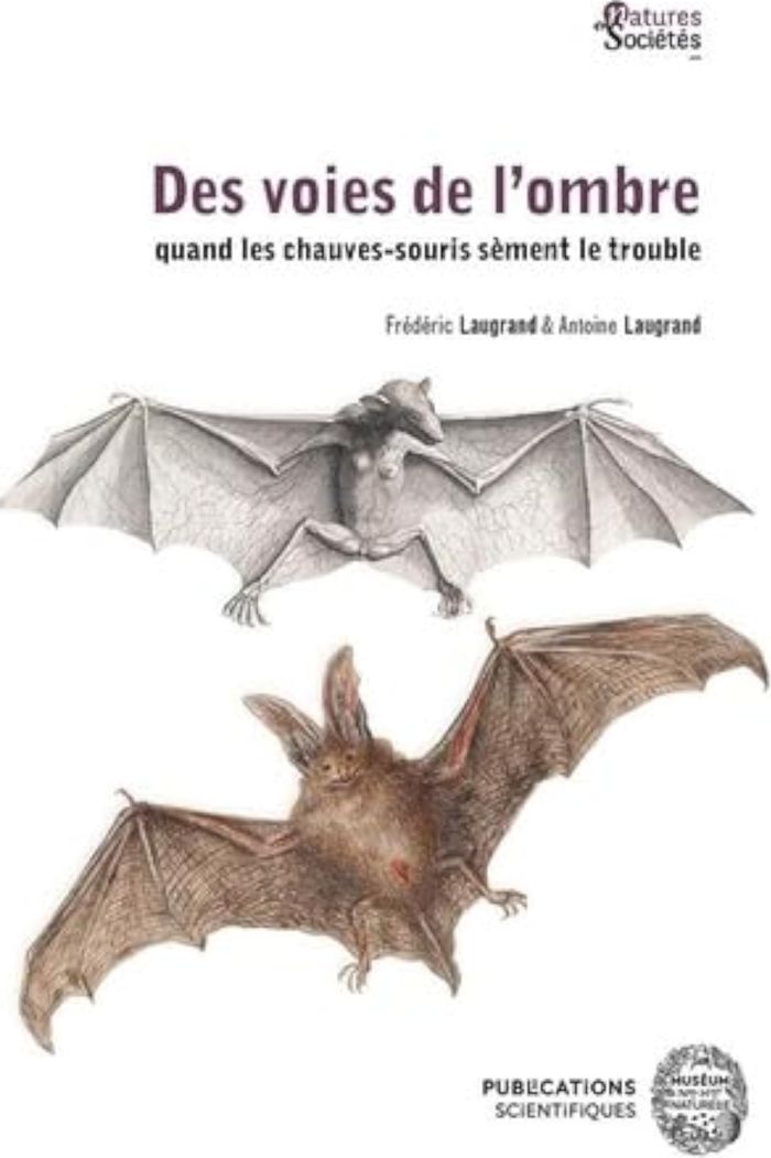Couverture du livre « DES VOIES DE L OMBRE QUAND LES CHAUVES-SOURIS SEMENT LE TROUBLE » de Laugrand, librairie Les Contes Infusés à Corte
