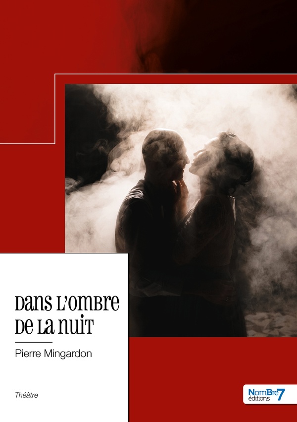 Couverture du livre « DANS L'OMBRE DE LA NUIT » de Pierre Mingardon, librairie Les Contes Infusés à Corte