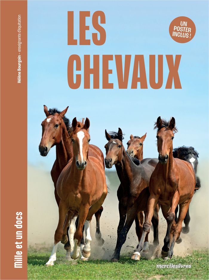 Couverture du livre « Les chevaux » de Hélène Bourgoin, librairie Les Contes Infusés à Corte