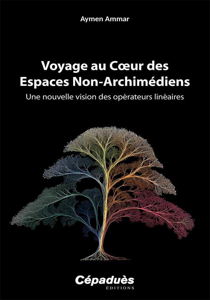 Couverture du livre « VOYAGE AU COEUR DES ESPACES NON-ARCHIMEDIENS - UNE NOUVELLE VISION DES OPERATEURS LINEAIRES », librairie Les Contes Infusés à Corte