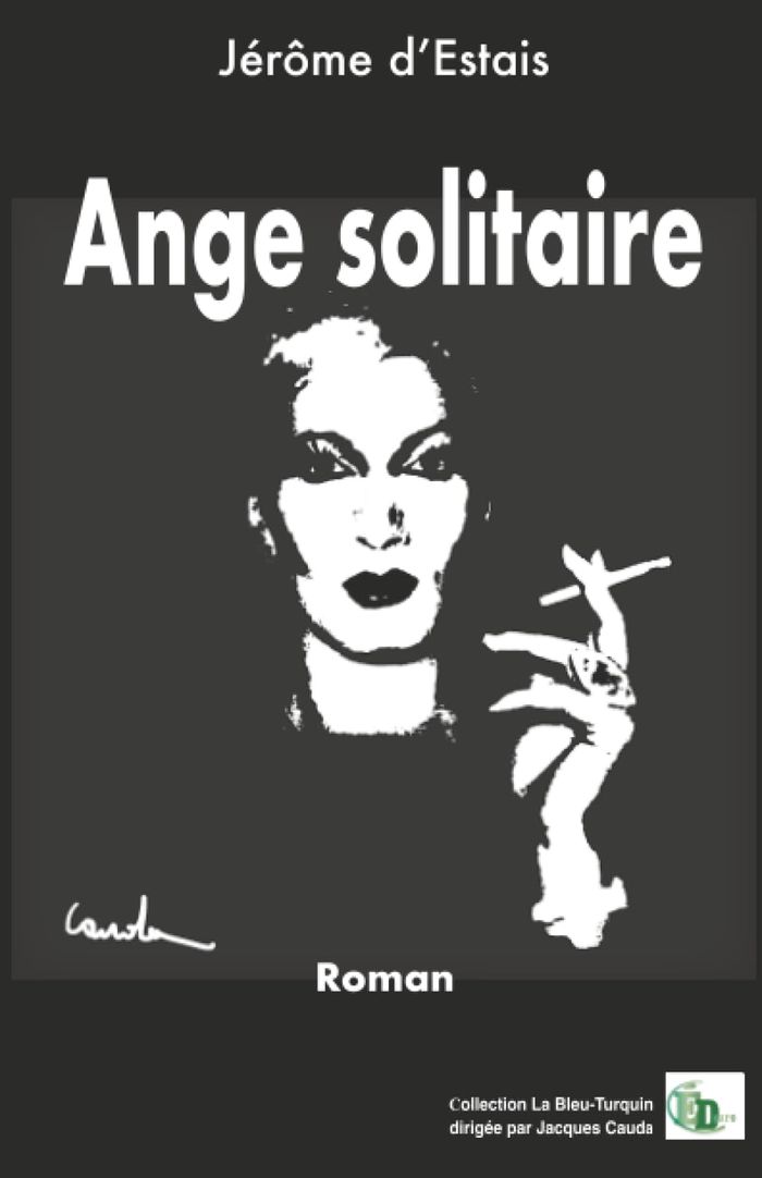 Couverture du livre « Ange solitaire : roman » de Jérôme d' Estais, librairie Les Contes Infusés à Corte