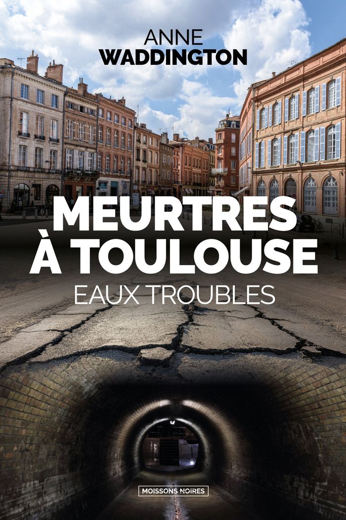 Couverture du livre « Meurtres à Toulouse : eaux troubles » de Anne Waddington, librairie Les Contes Infusés à Corte