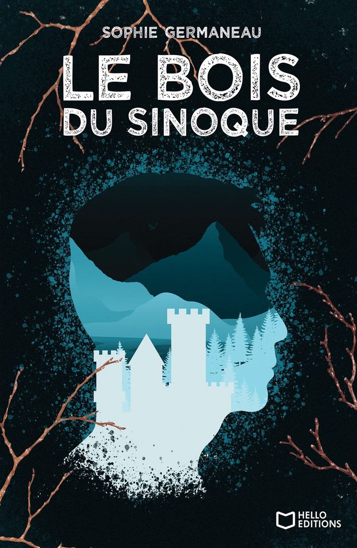 Couverture du livre « LE BOIS DU SINOQUE », librairie Les Contes Infusés à Corte