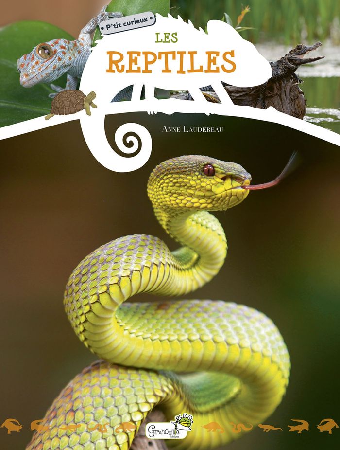 Couverture du livre « Les reptiles » de Anne Laudereau, librairie Les Contes Infusés à Corte