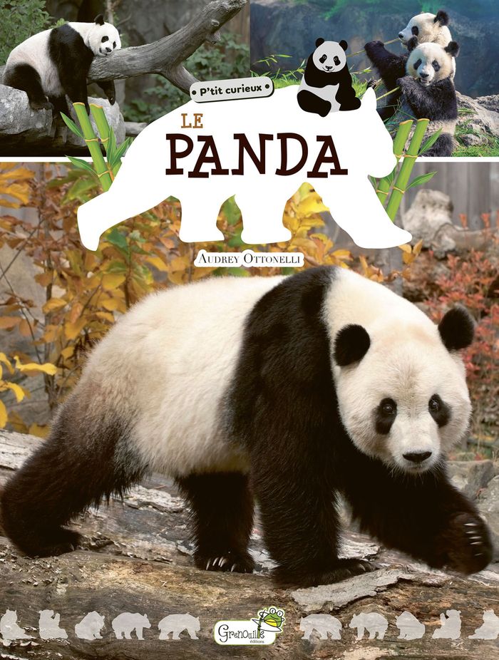 Couverture du livre « Le panda » de Audrey Ottonelli, librairie Les Contes Infusés à Corte