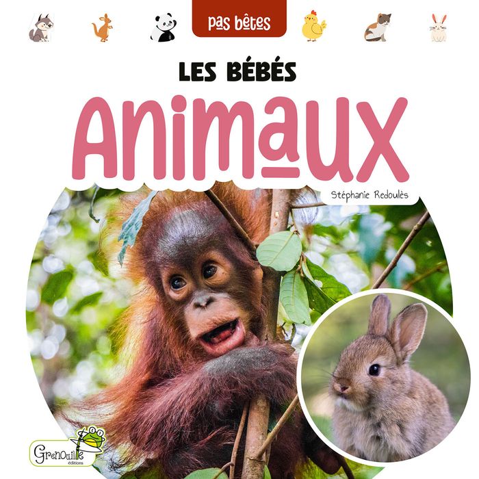 Couverture du livre « Les bébés animaux » de Stéphanie Redoulès, librairie Les Contes Infusés à Corte