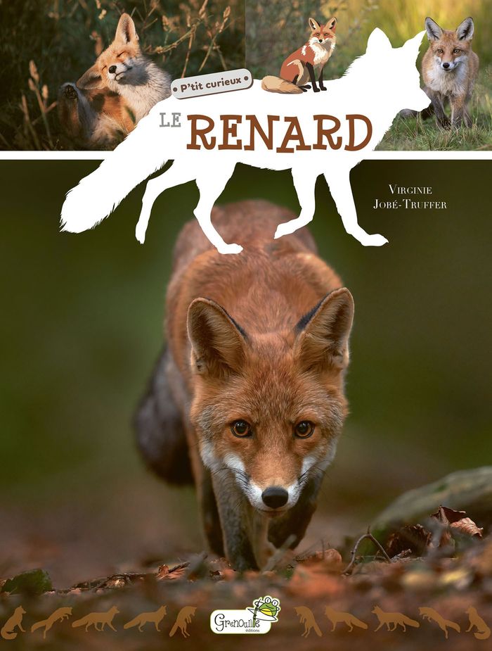 Couverture du livre « Le renard » de Virginie Jobé-Truffer, librairie Les Contes Infusés à Corte