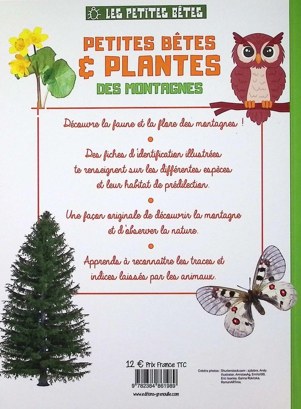 Quatrième de couverture de « Petites bêtes & plantes des montagnes : observer, identifier, préserver »