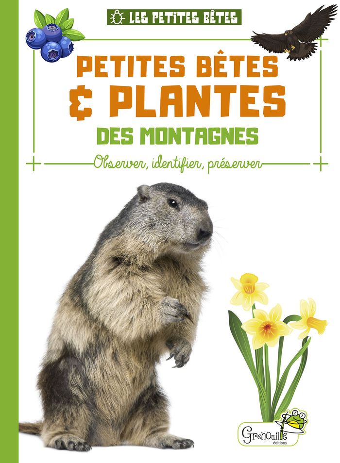 Couverture du livre « Petites bêtes & plantes des montagnes : observer, identifier, préserver » de Collectif, librairie Les Contes Infusés à Corte