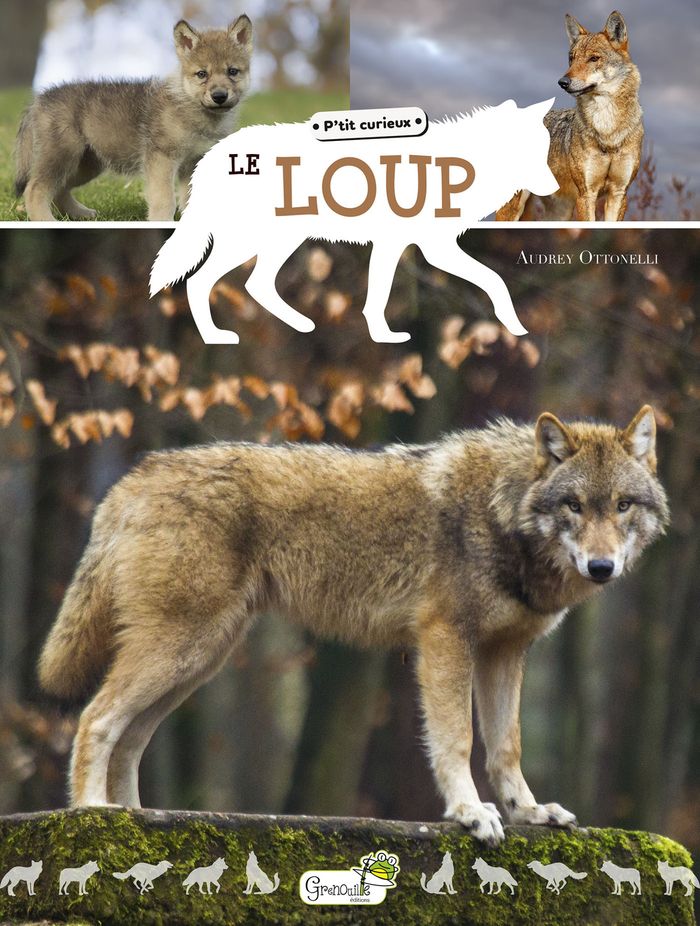 Couverture du livre « Le loup » de Corinne Boutry, librairie Les Contes Infusés à Corte