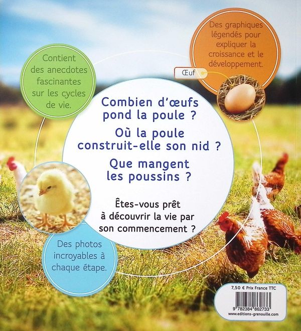 Quatrième de couverture de « De l'oeuf à la poule »
