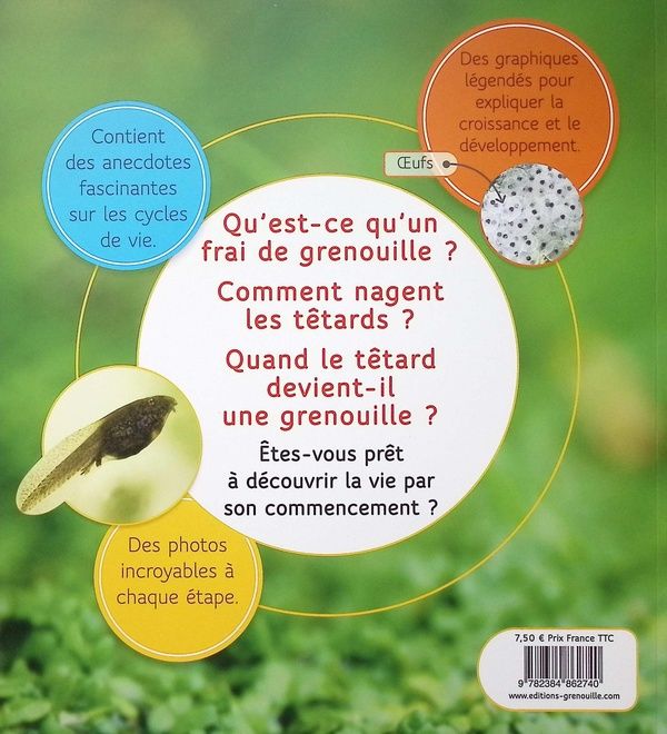 Quatrième de couverture de « Du têtard à la grenouille »