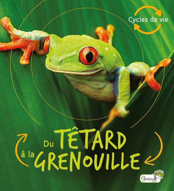Couverture du livre « Du têtard à la grenouille » de Camilla De la Bedoyere, librairie Les Contes Infusés à Corte