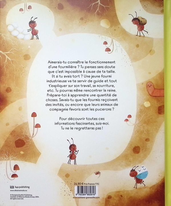 Quatrième de couverture de « Secrets de fourmis »