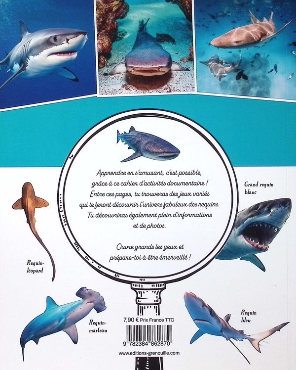 Quatrième de couverture de « Les requins : quiz, jeux et p'tites infos »