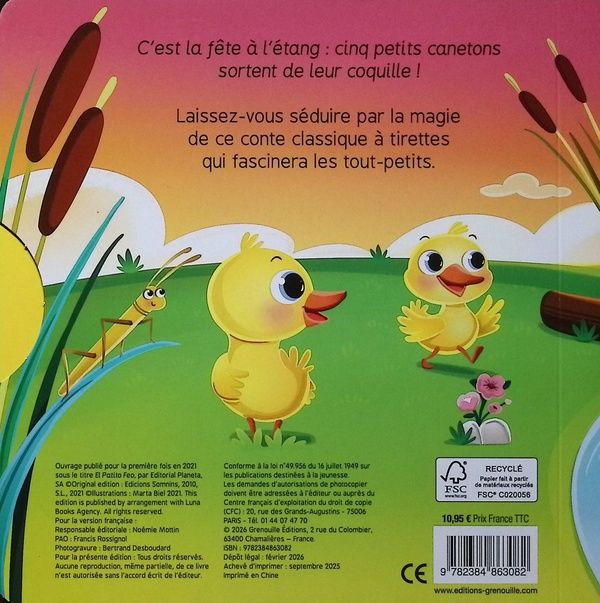 Quatrième de couverture de « Le vilain petit canard »