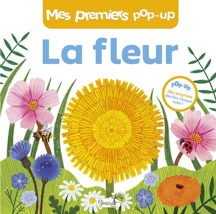 Couverture du livre « La fleur » de Hannah Abbo, librairie Les Contes Infusés à Corte