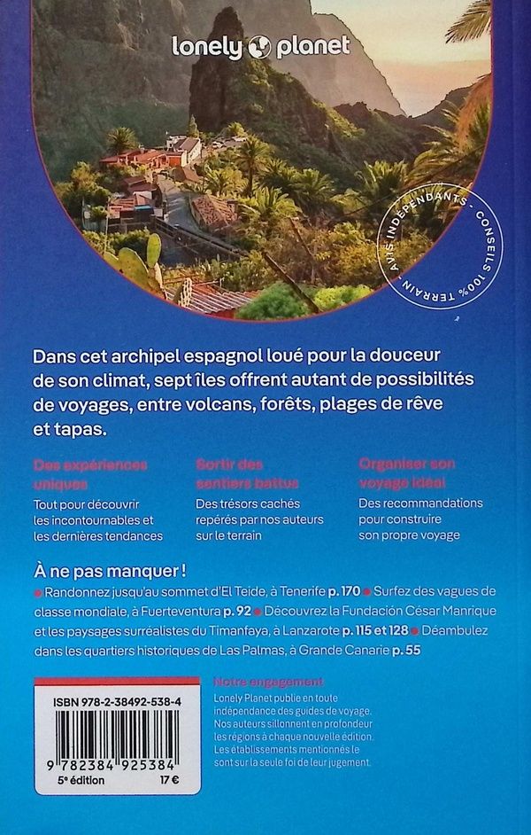 Quatrième de couverture de « Canaries »