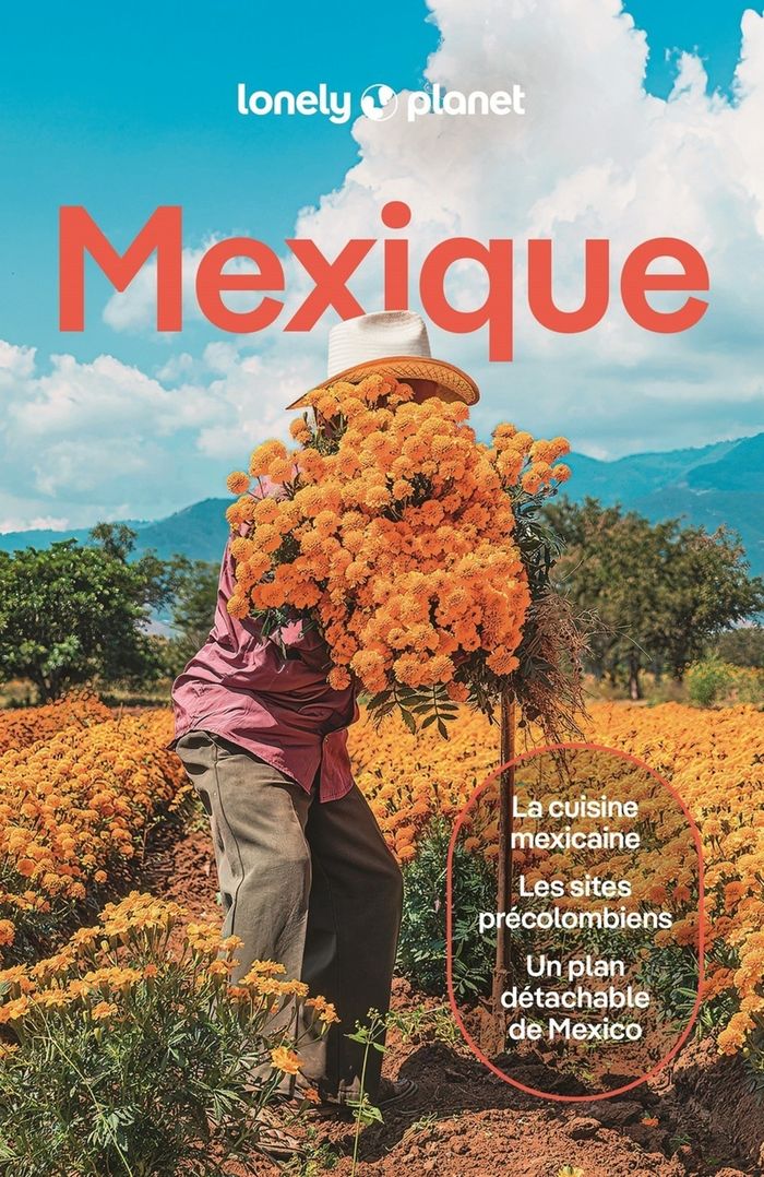 Couverture du livre « Mexique » de Joel Balsam, librairie Les Contes Infusés à Corte