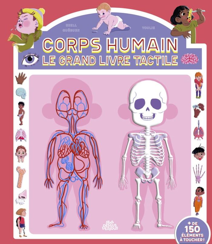 Couverture du livre « CORPS HUMAIN, LE GRAND LIVRE TACTILE » de Gueguen/youlie, librairie Les Contes Infusés à Corte