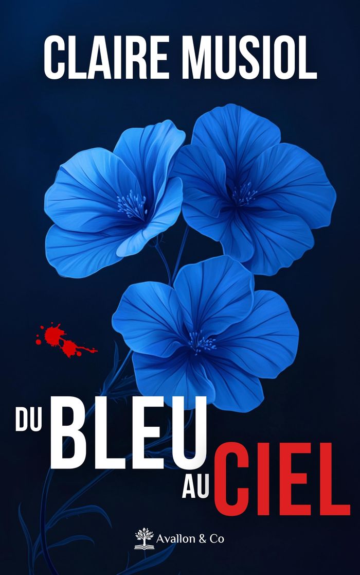 Couverture du livre « Du bleu au ciel : roman » de Claire Musiol, librairie Les Contes Infusés à Corte