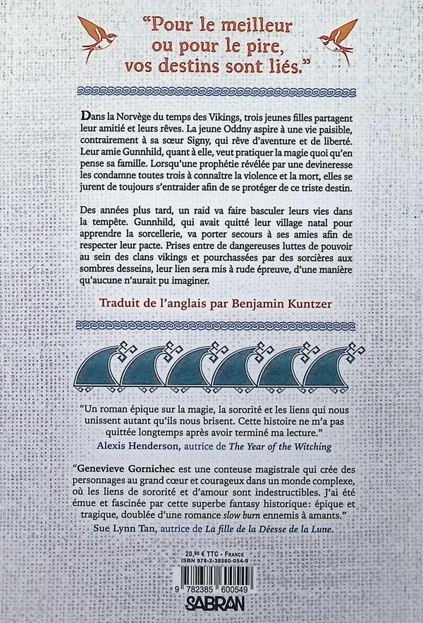 Quatrième de couverture de « Le sort qui nous lie »