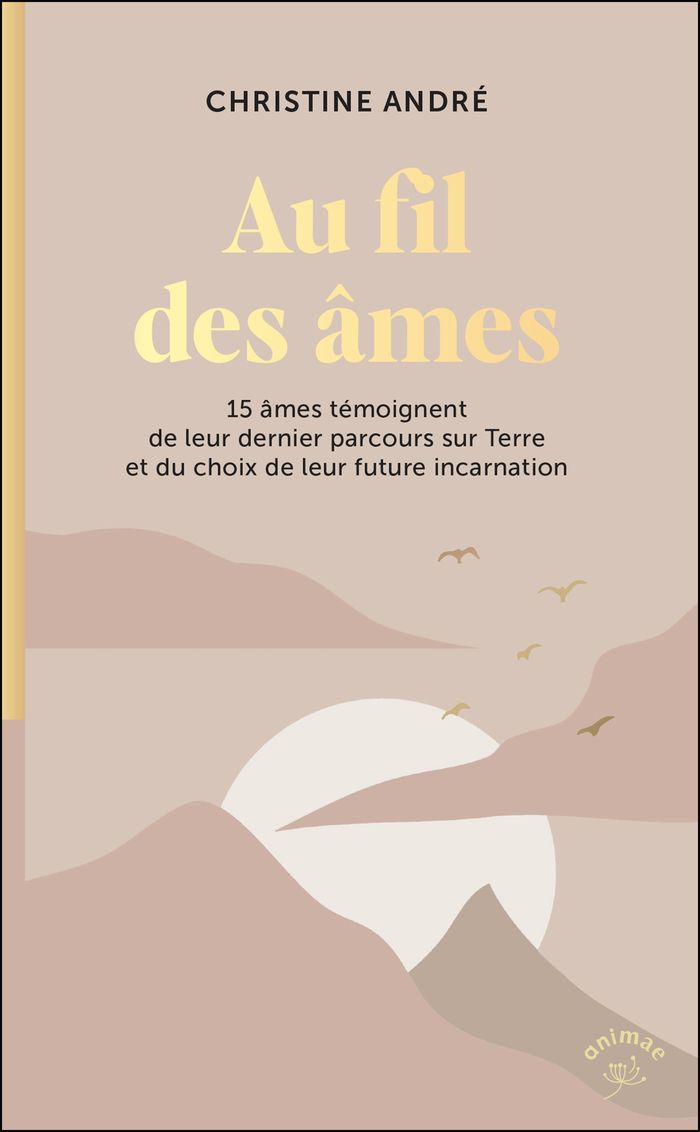 Couverture du livre « Au fil des âmes : 15 âmes témoignent de leur dernier parcours sur terre et du choix de leur future incarnation » de Christine André, librairie Les Contes Infusés à Corte