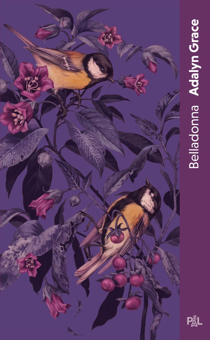Couverture du livre « BELLADONNA - LIVRE 01 (POCHE) - VOL01 » de Adalyn Grace, librairie Les Contes Infusés à Corte
