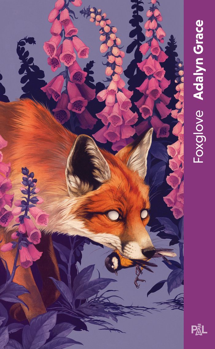 Couverture du livre « Foxglove » de Adalyn Grace, librairie Les Contes Infusés à Corte