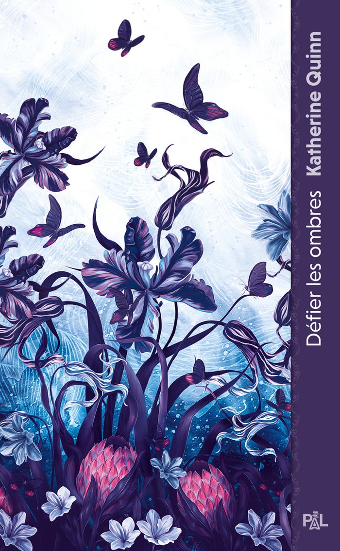 Couverture du livre « Défier les ombres » de Katherine Quinn, librairie Les Contes Infusés à Corte