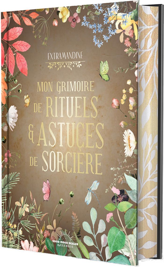 Couverture du livre « MON GRIMOIRE DE RITUELS & ASTUCES DE SORCIERE », librairie Les Contes Infusés à Corte